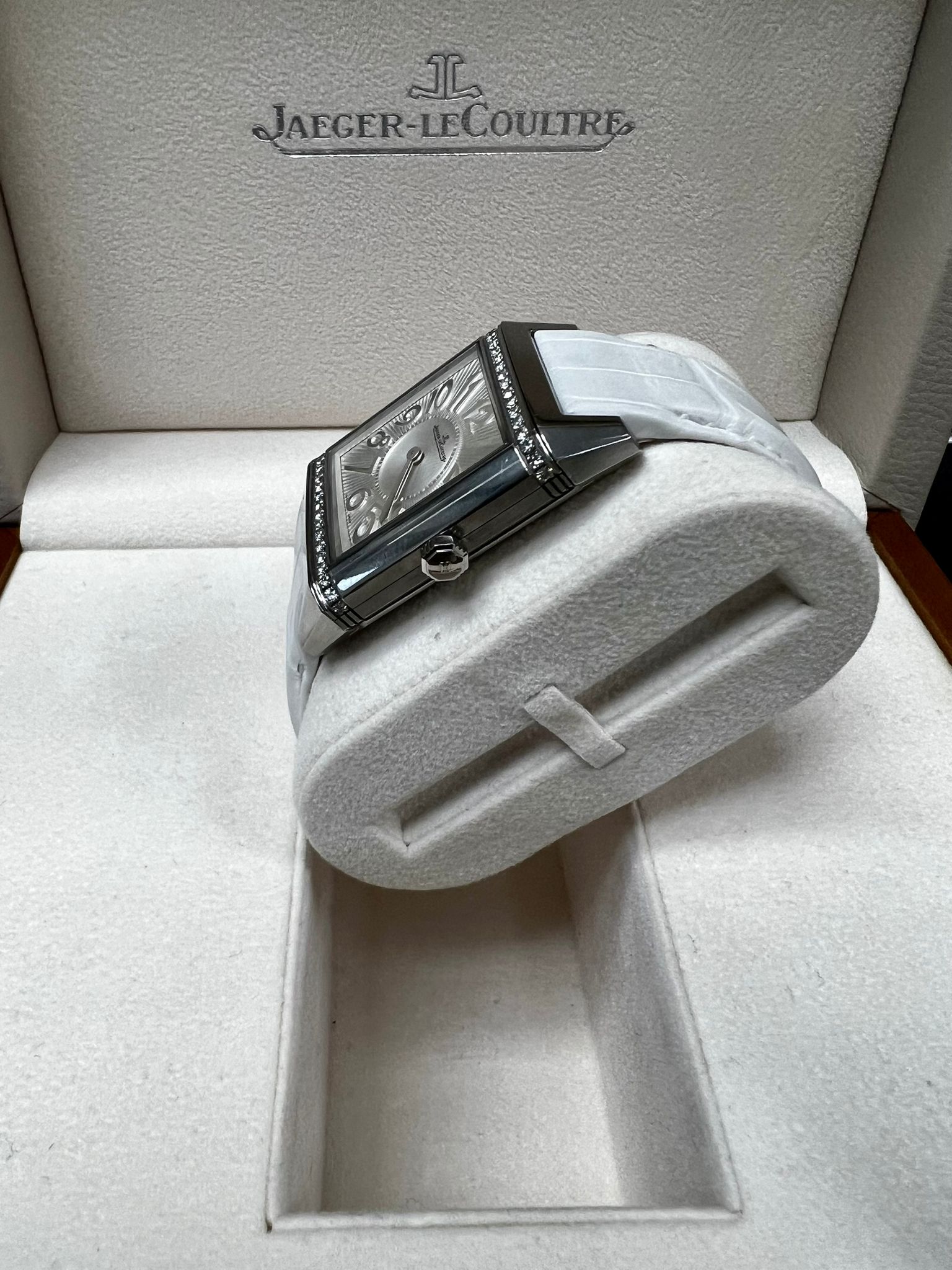 WhatsApp Image 2026 04 02 At 160613 2